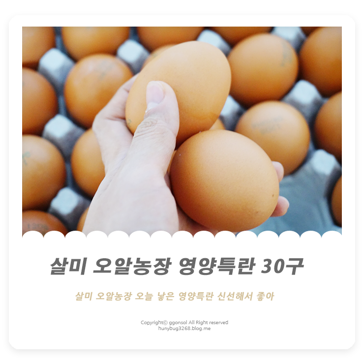 살미농장 이미지