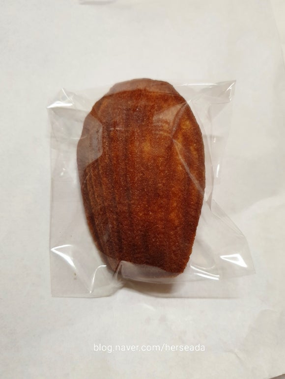 시즈너블 이미지