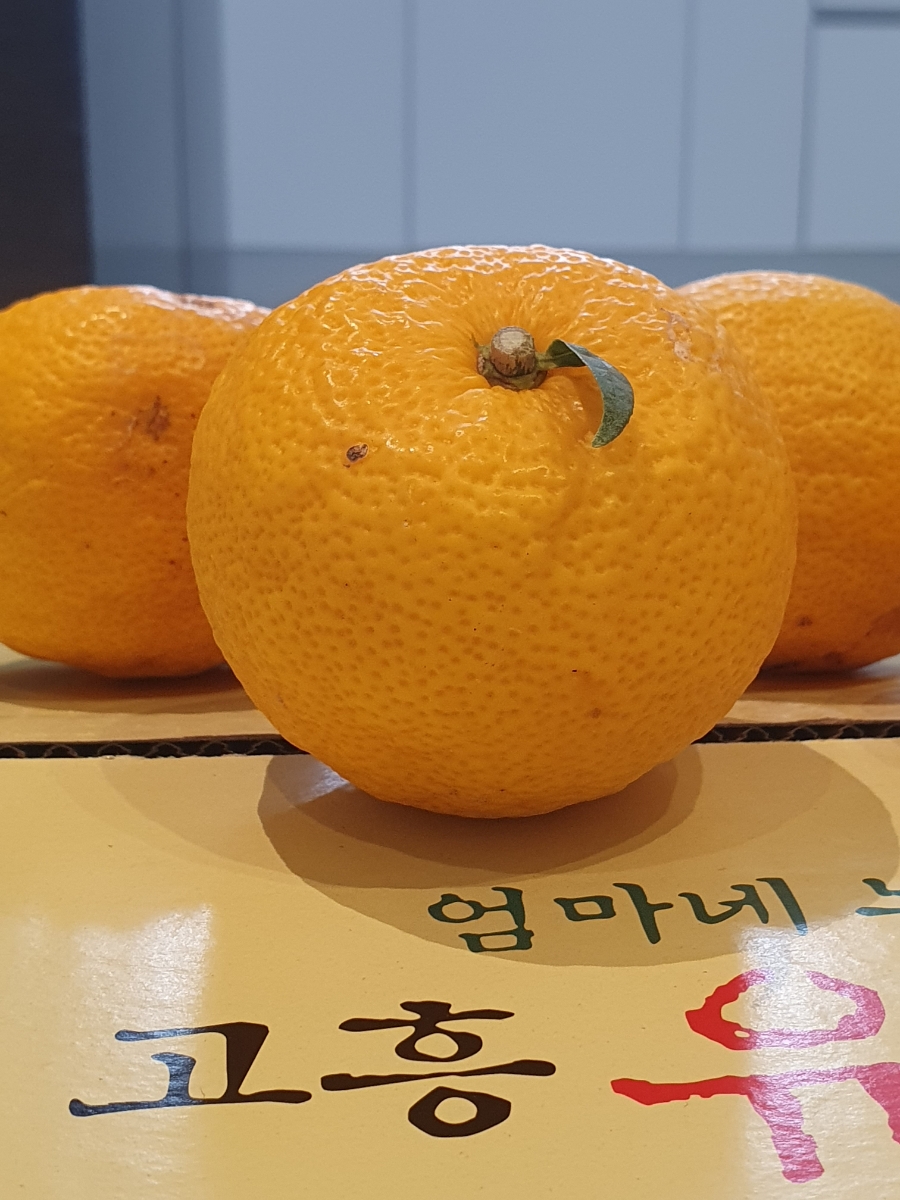 참샘푸드 이미지