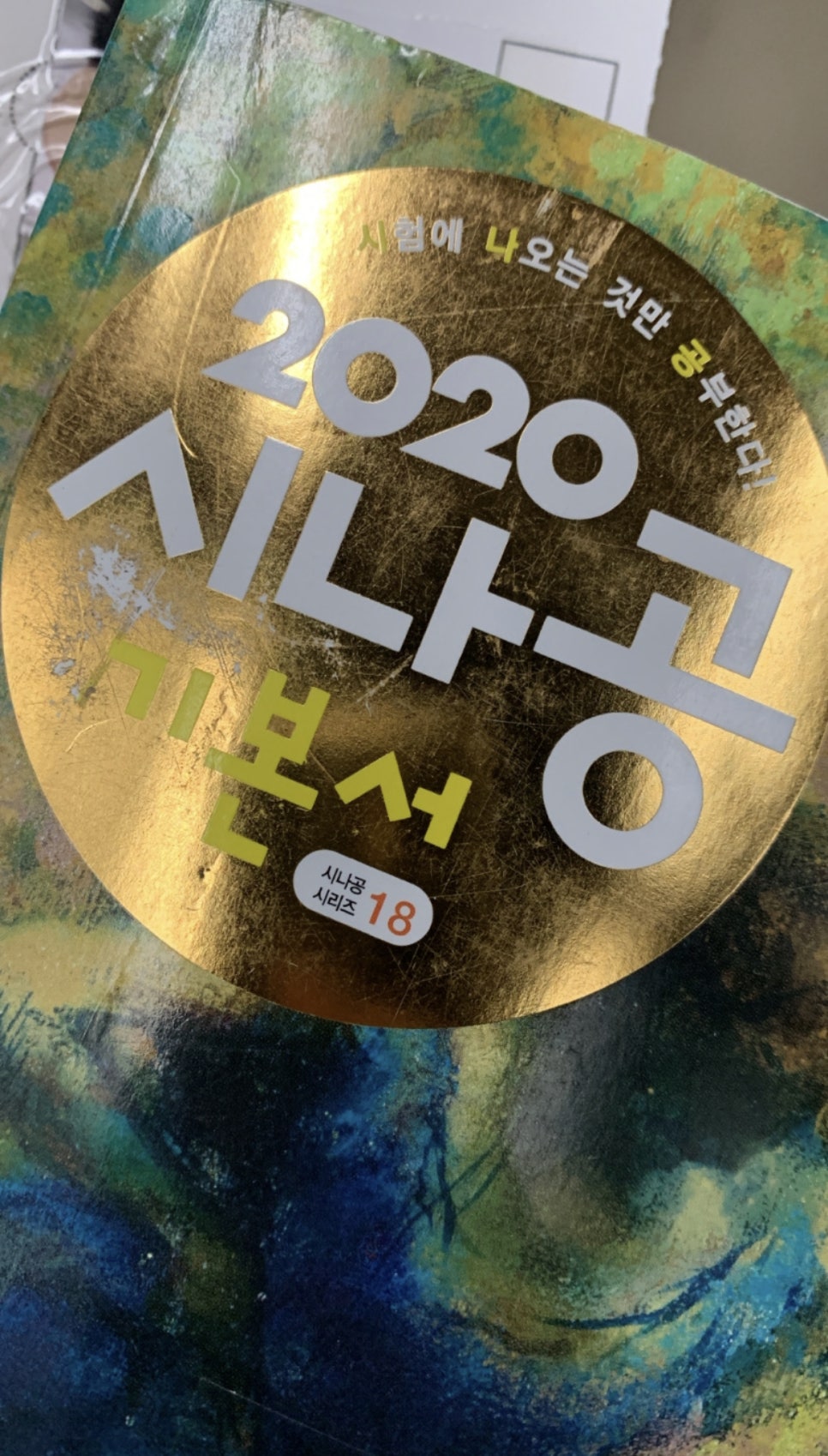 핑가핑가 이미지