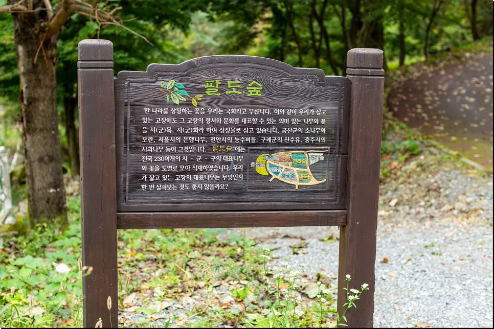 꽃이야나무야충주천안 이미지