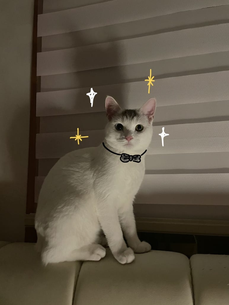 도도테라피 이미지