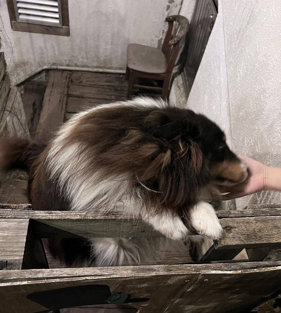 (주)제이브로 이미지