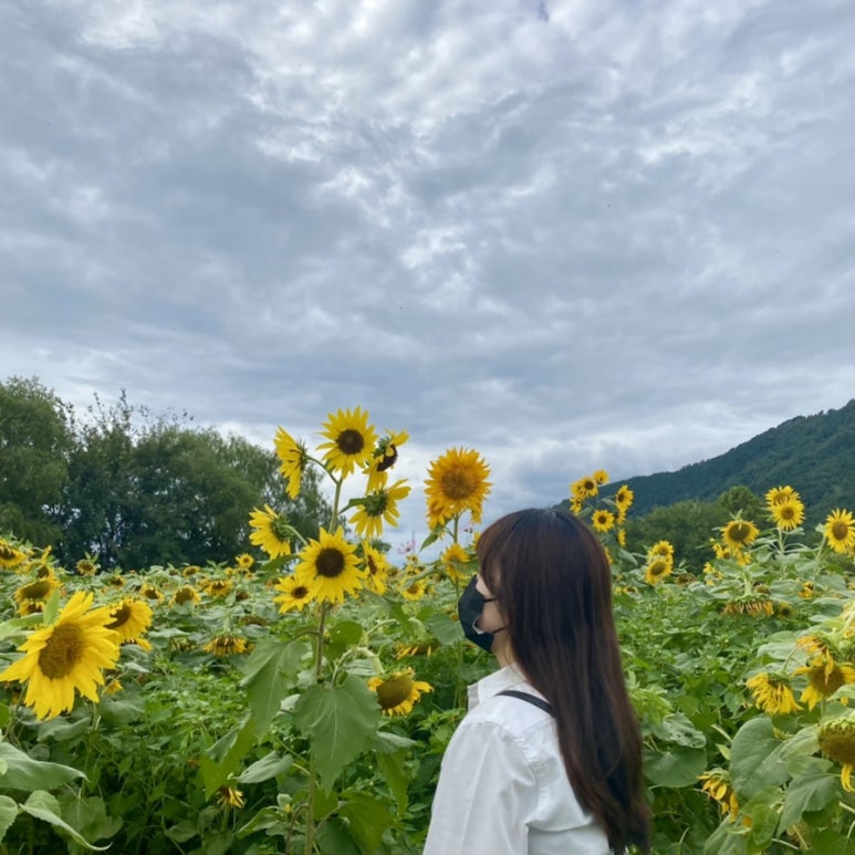 블레싱헤어 이미지
