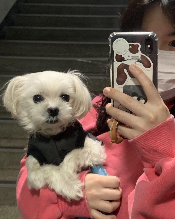 양*종 이미지