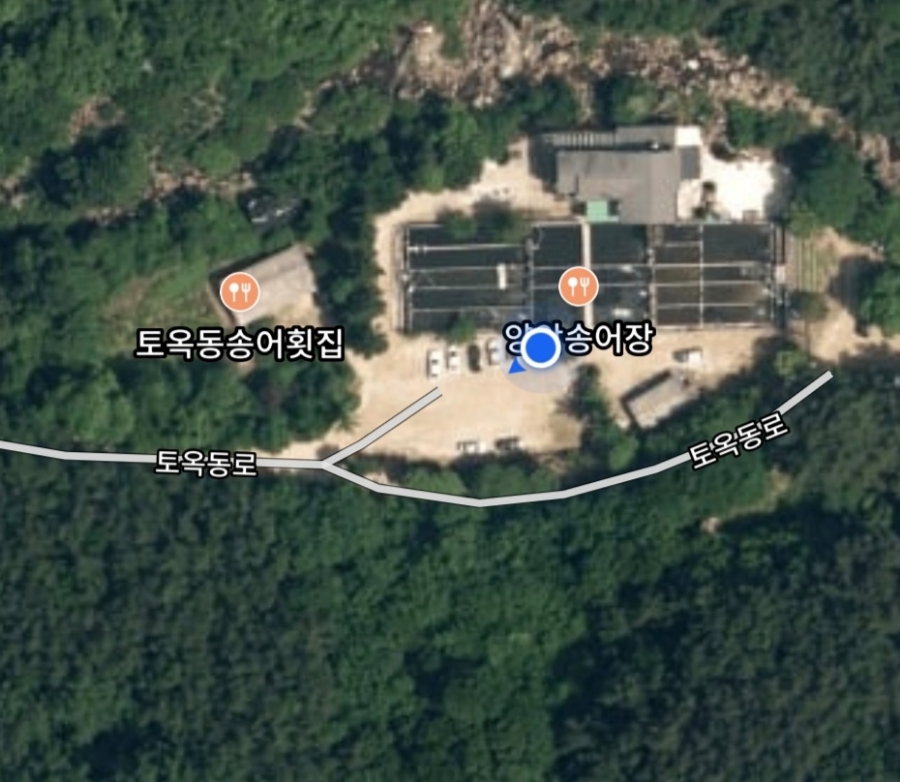 토옥동송어횟집 이미지