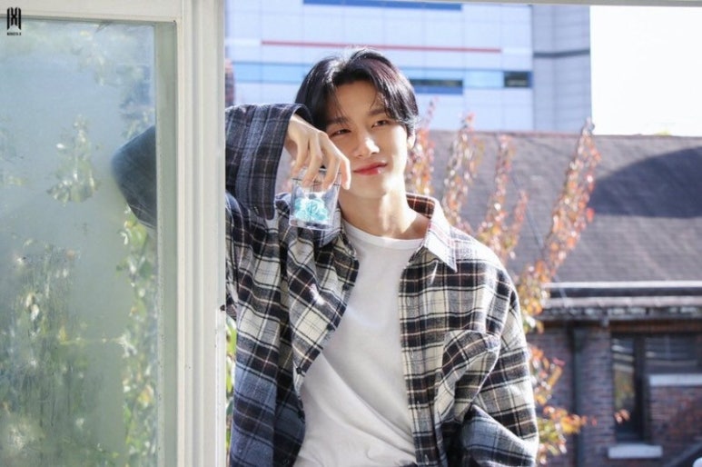 더 드리밍 이미지