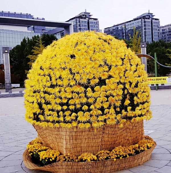 샤론꽃농장 이미지