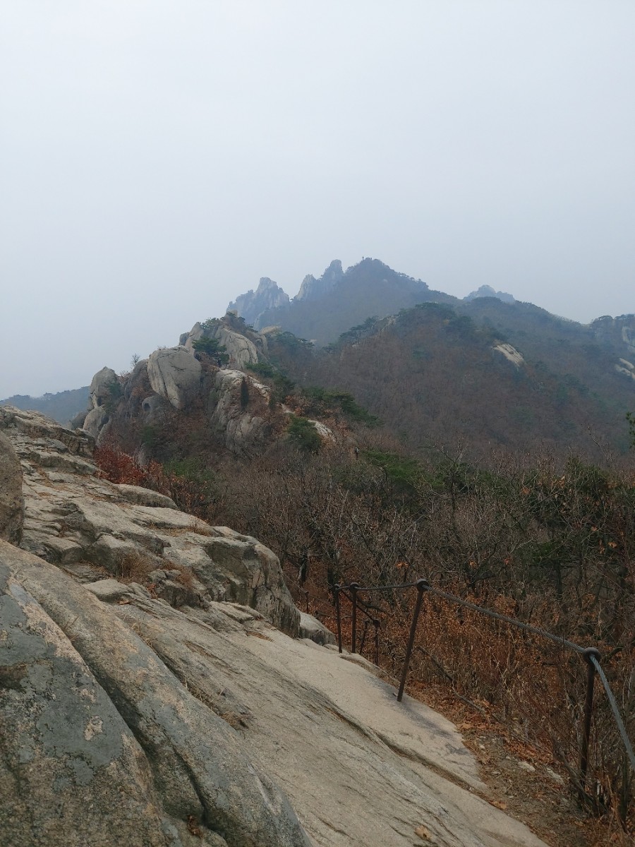 사구오공생선구이 이미지