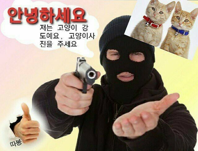 하이고 이미지