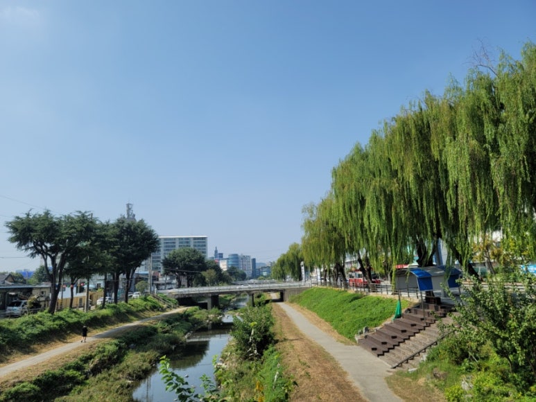 콩나루콩나물국밥아중점 이미지