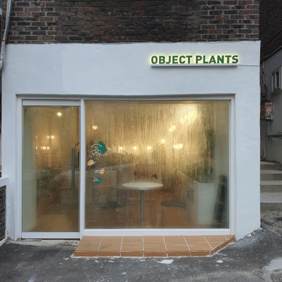오브젝트플랜츠 이미지
