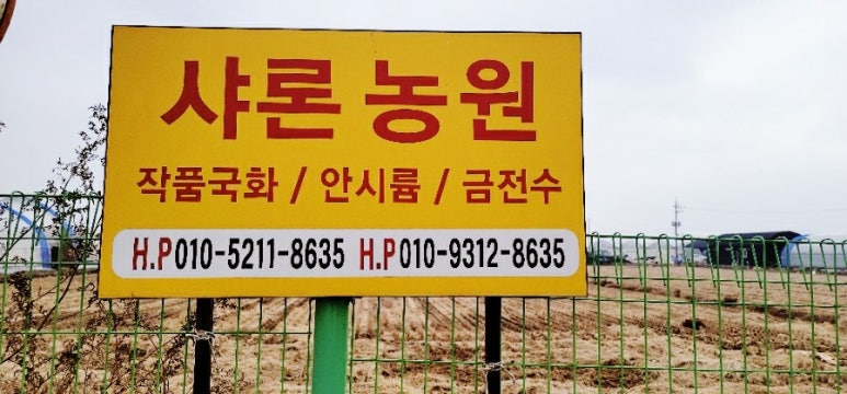 샤론농원 이미지