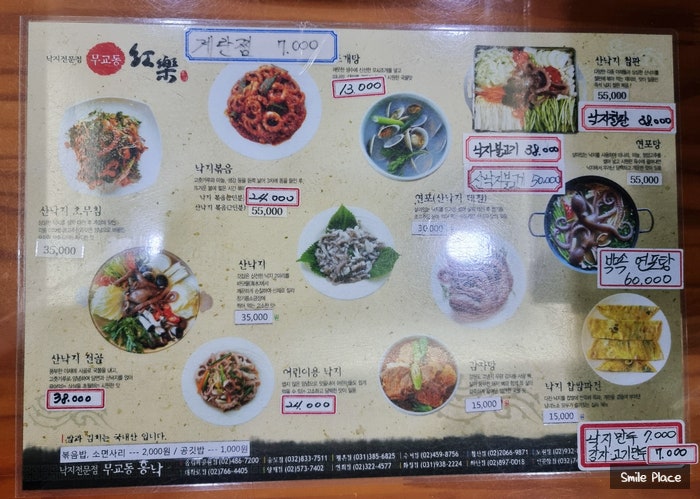 낙지무교동홍낙 이미지