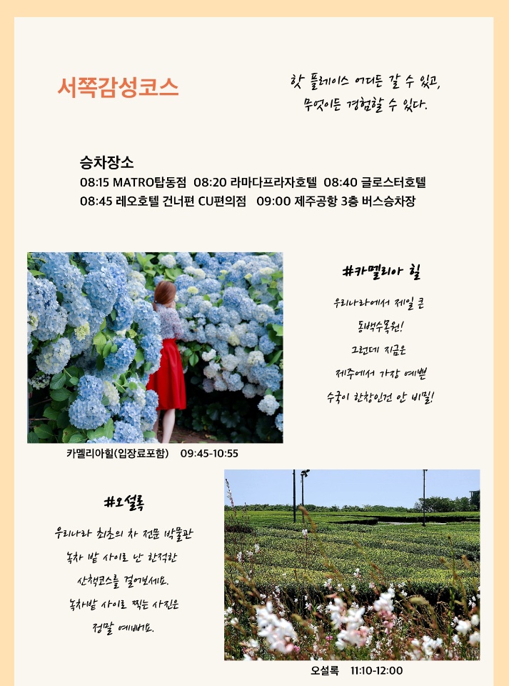 제주샌드여행사 이미지