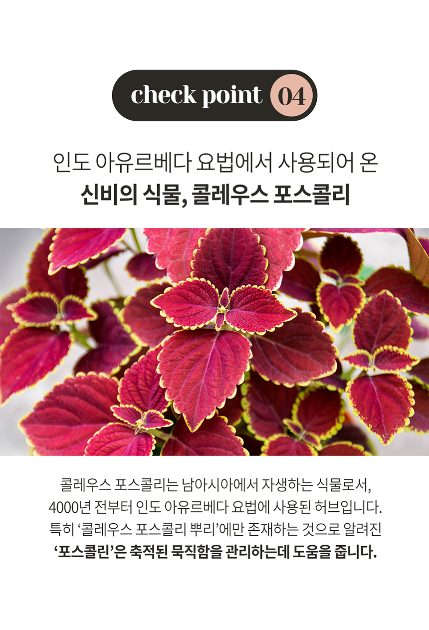 커피후 이미지