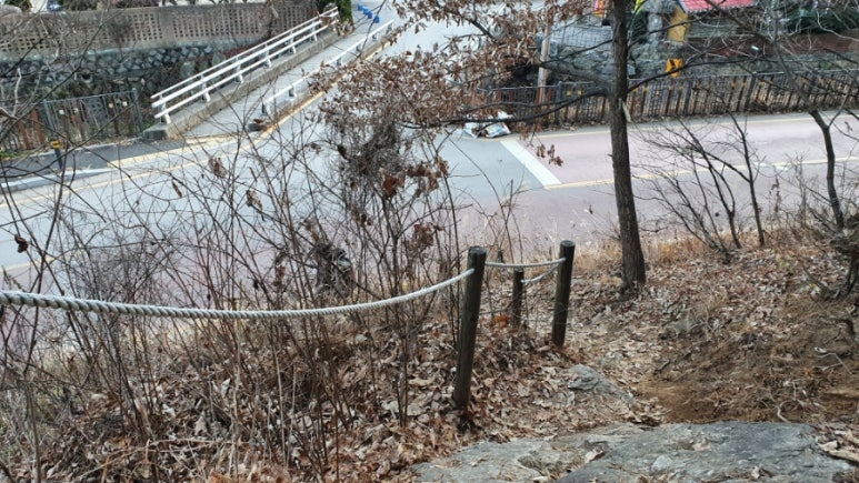 숲향여행사 이미지