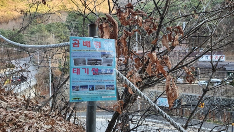 숲향여행사 이미지