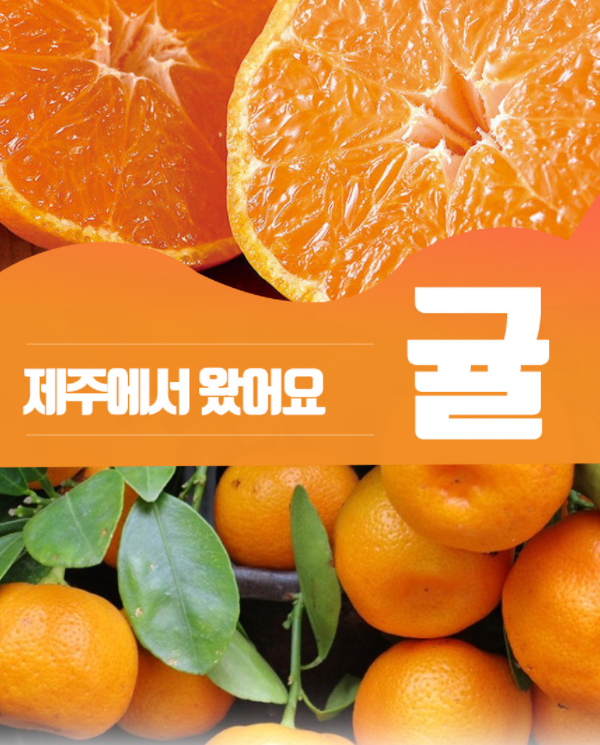 청정제주농산 이미지