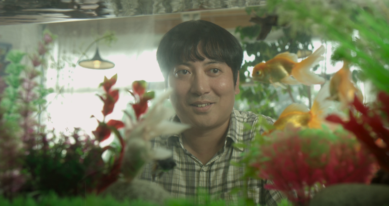 시네마 넝쿨 이미지
