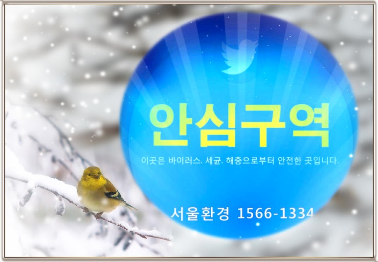 디케이아이 이미지