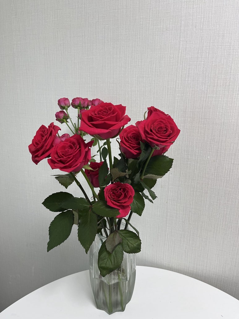 늘꽃길 이미지