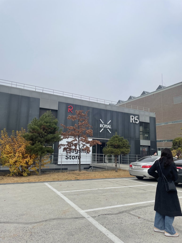 로얄엑스(ROYAL X) 이미지