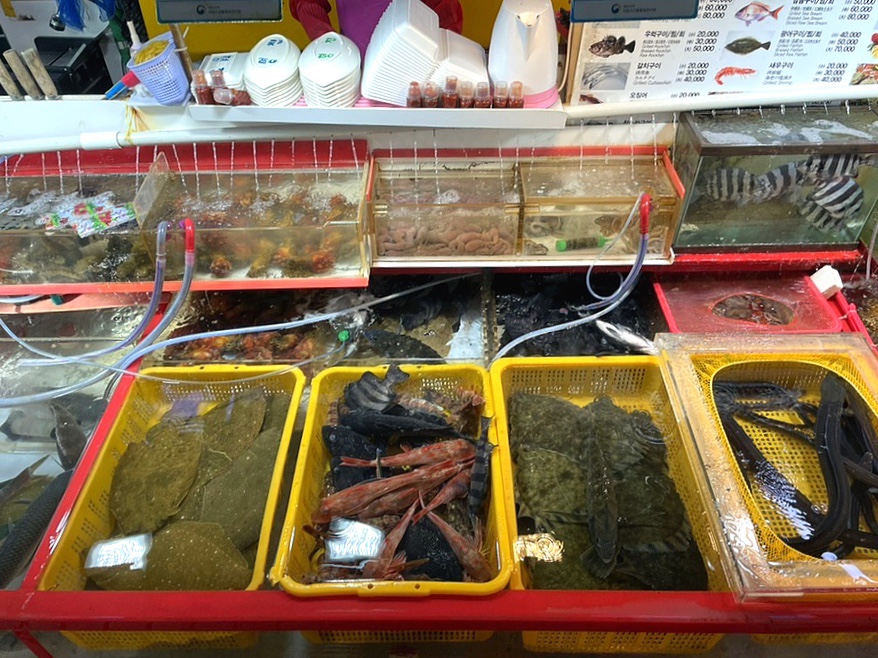 명진상회 이미지