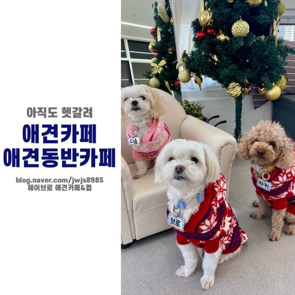Hey Bro(헤이브로) 이미지