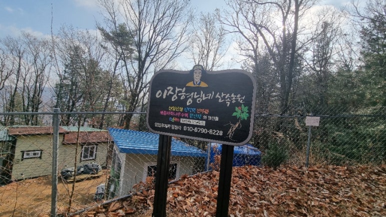 고로쇠산삼농원 이미지