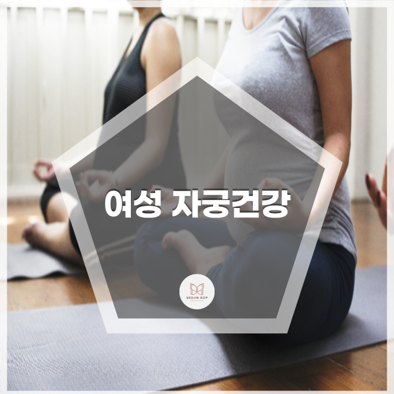 서진DCP 이미지