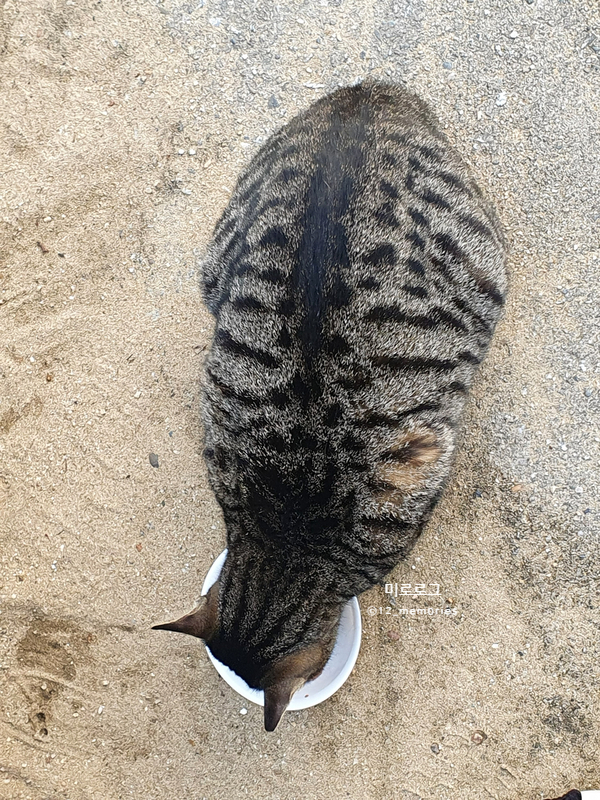(주)알싸한 이미지