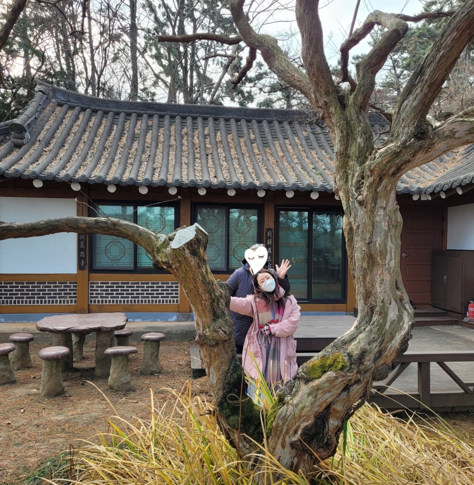 천리포차 이미지