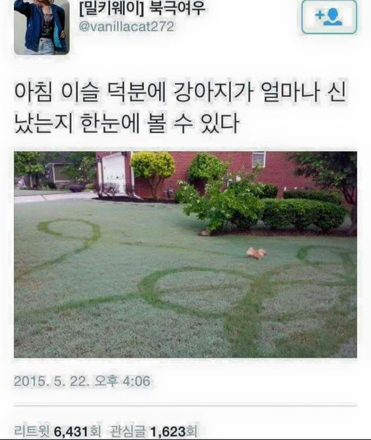 개신남 이미지