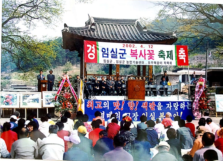 복숭아꽃살구꽃 이미지