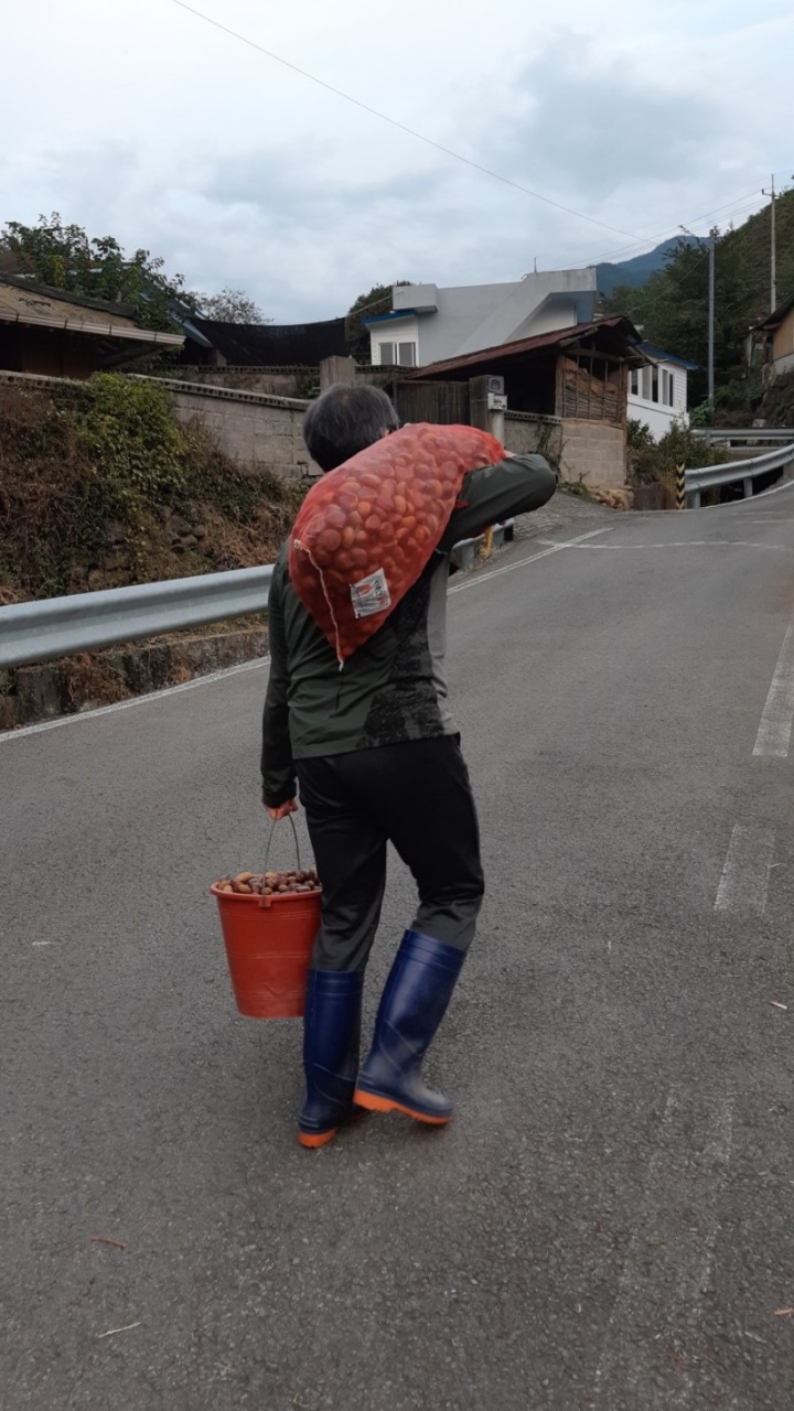 하동알퐁소펜션 이미지