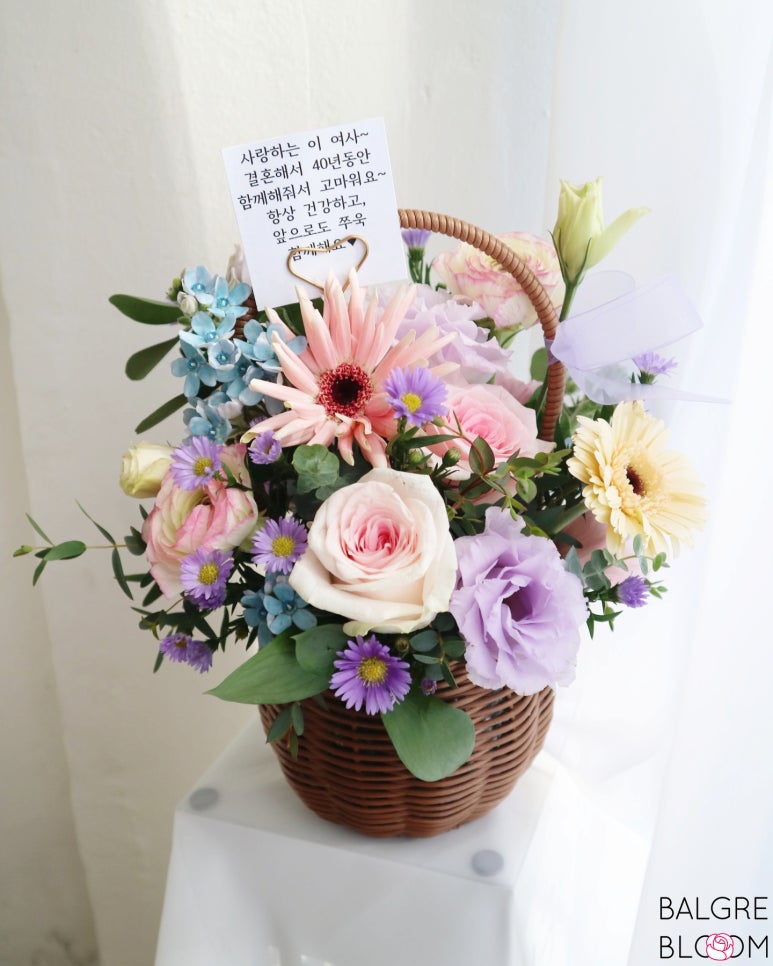발그레블룸 이미지