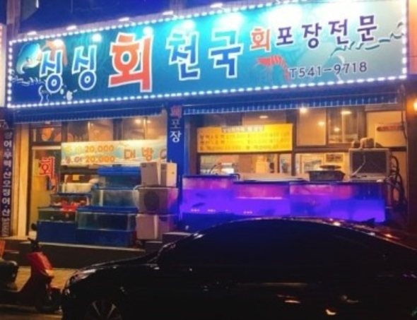 싱싱회천국 이미지