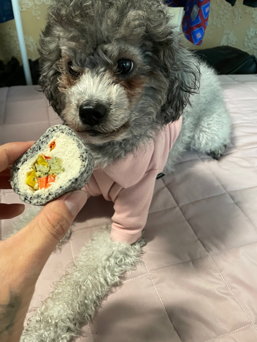 마망김밥 이미지