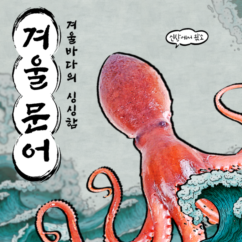 체험마을꺼리 이미지