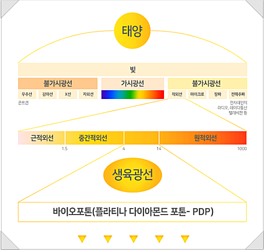 유성스포츠 이미지