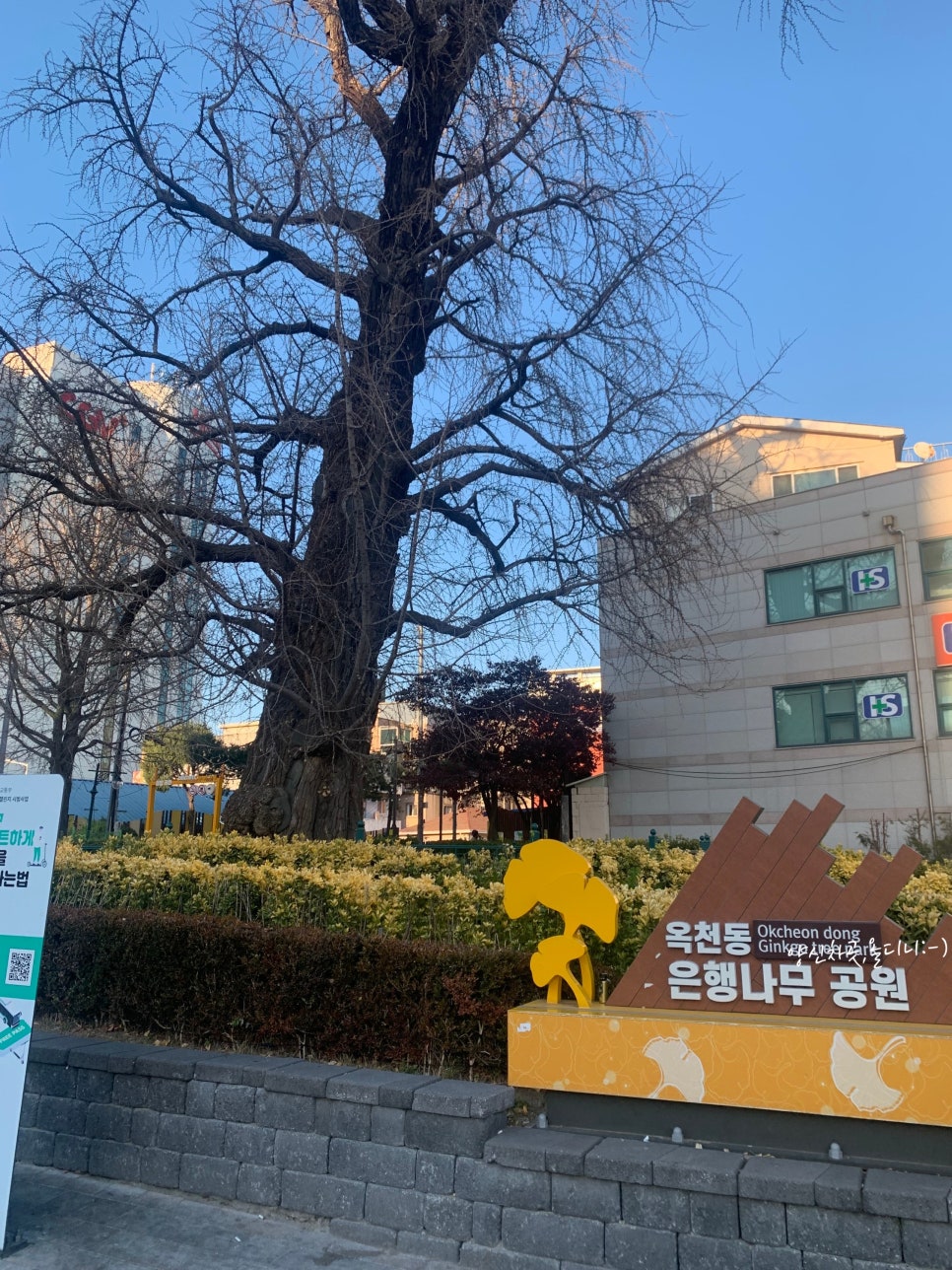 꽈배기친구들 이미지