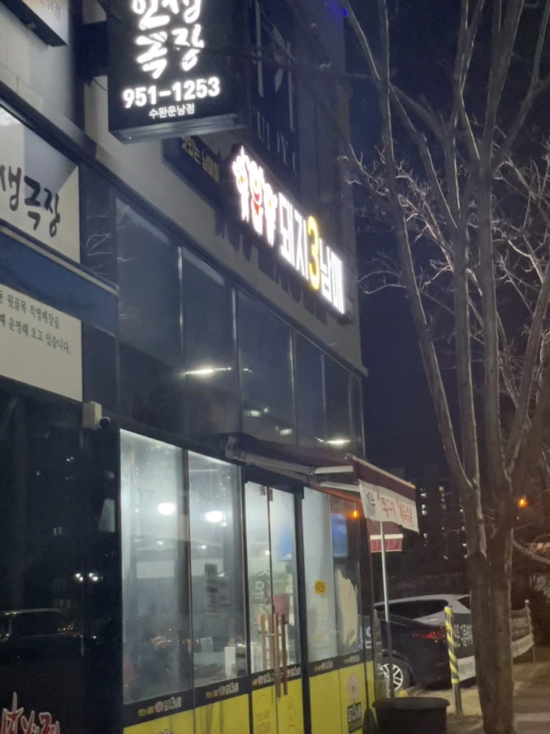 돼지3남매 이미지