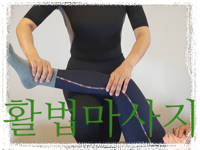 체술건강 이미지
