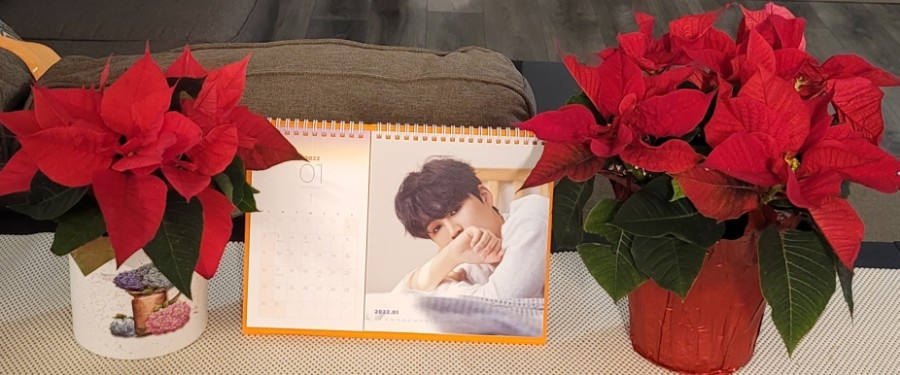 꽃을든남자I 이미지