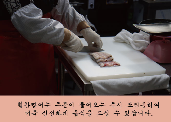 힘찬짱어 이미지