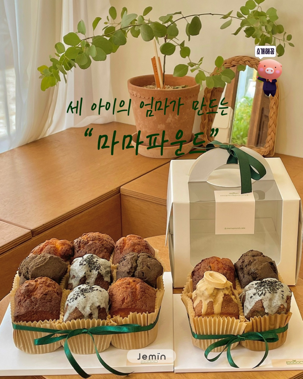 마마파운드 이미지
