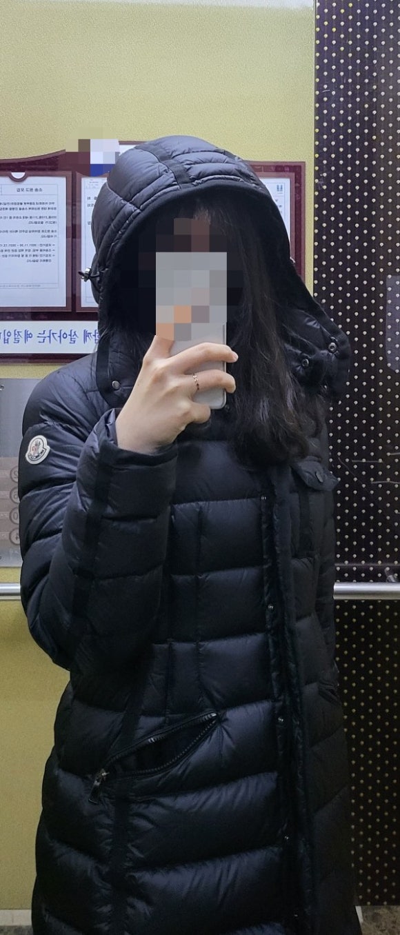 에르민 이미지
