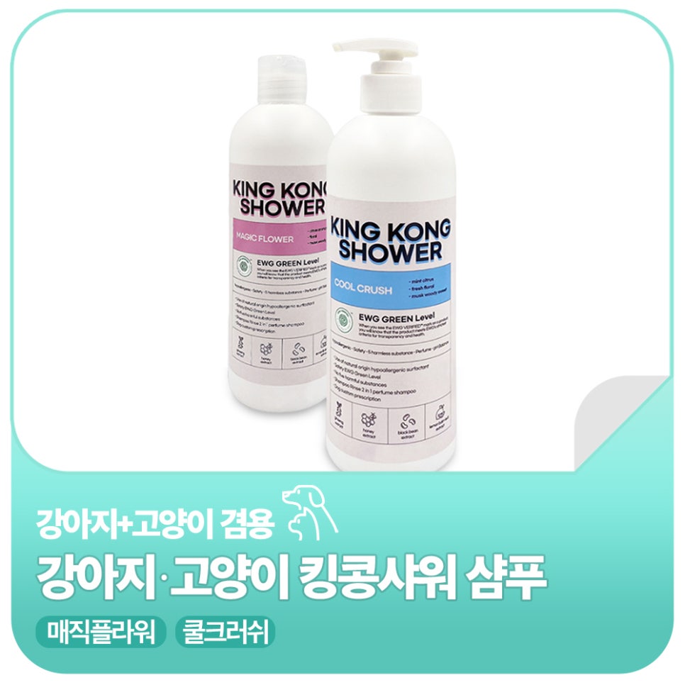 킹콩플라워 이미지
