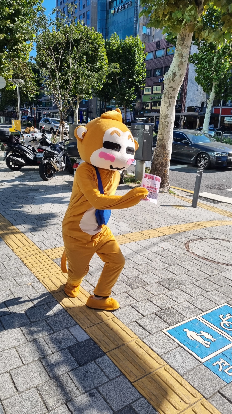 제니카야 이미지